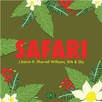 safari